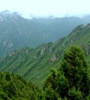 青海省對(duì)天然林保護(hù)工程進(jìn)行績(jī)效評(píng)價(jià)，對(duì)2018年度森林管護(hù)工作進(jìn)行了巡回監(jiān)理，實(shí)現(xiàn)績(jī)效評(píng)價(jià)和監(jiān)理工作的全覆蓋。